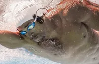 waterproof mp3 players